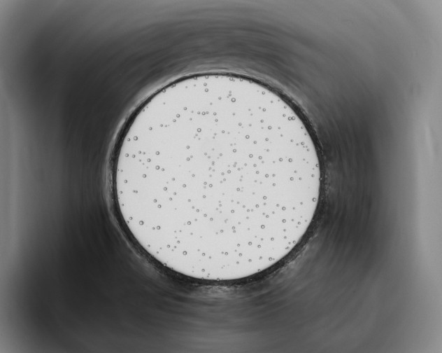 X0000093391517200711081555