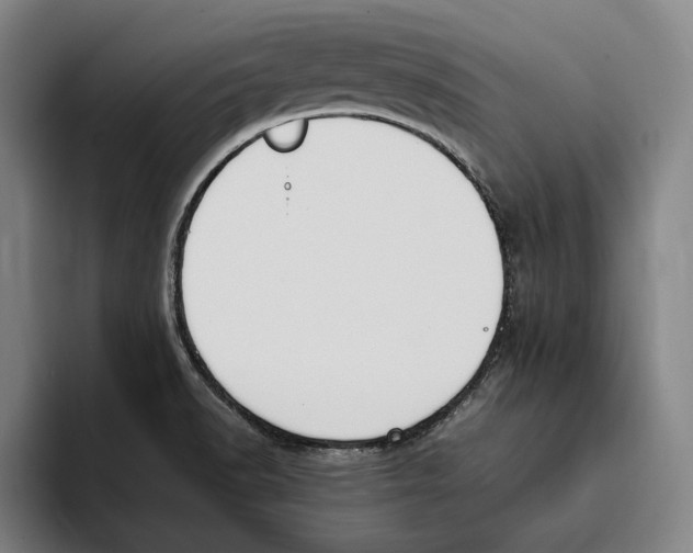 X0000093391518200711081555