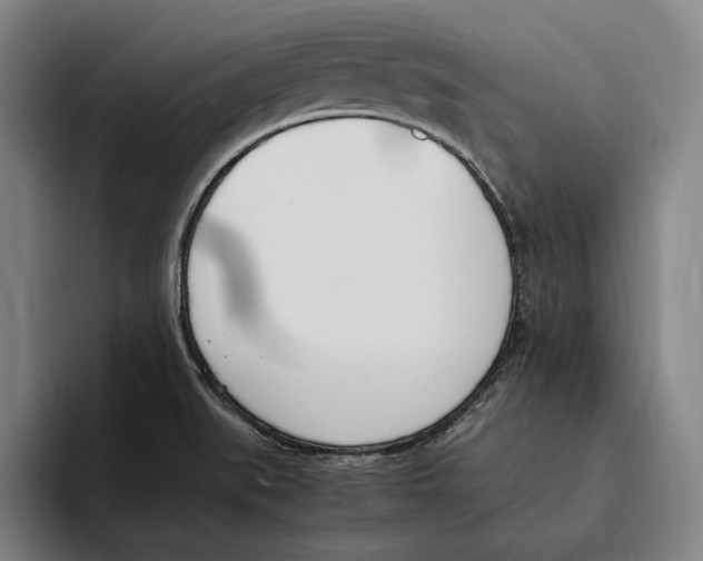 X0000093391519200711081555