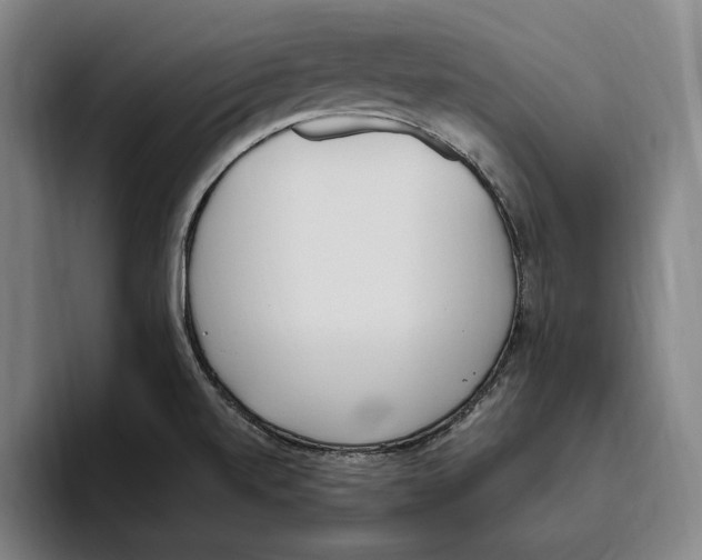 X0000093391520200711081555