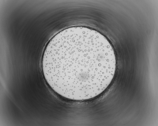 X0000093391521200711081555