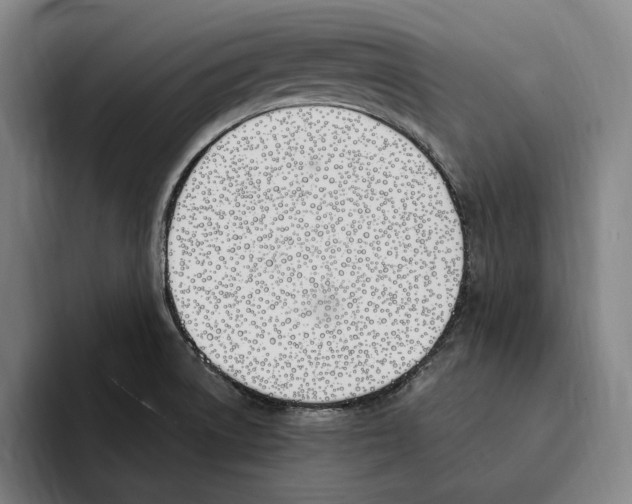 X0000093391522200711081555