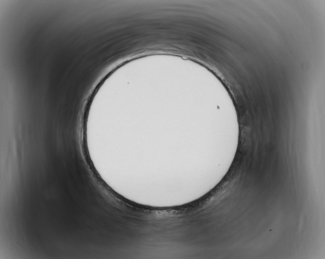 X0000093391523200711081555