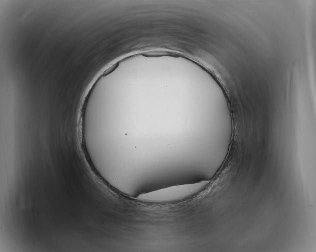 X0000093391524200711081555