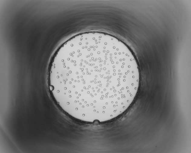 X0000093391525200711081555