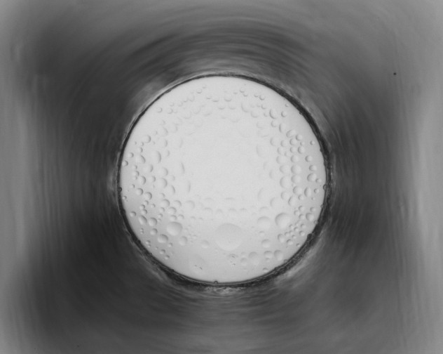 X0000093391529200711081555