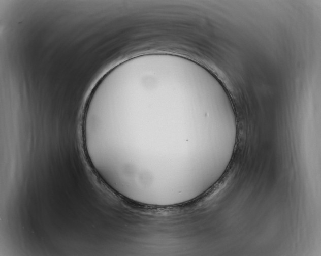 X0000093391530200711081555