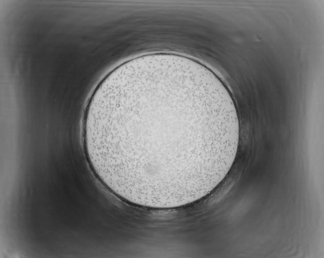 X0000093391535200711081555