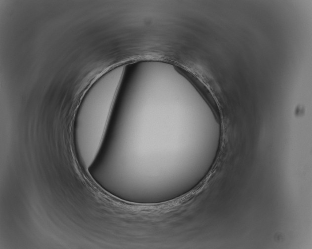 X0000093400001200710120905