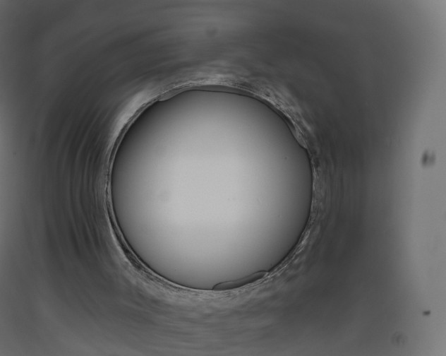 X0000093400003200710120905