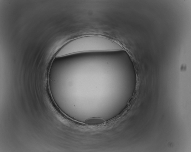 X0000093400005200710120905