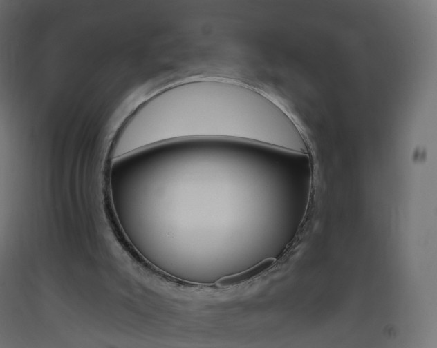 X0000093400007200710120905