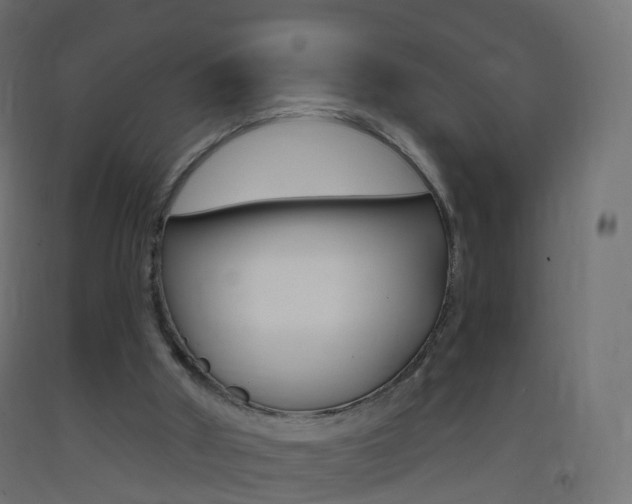X0000093400010200710120905
