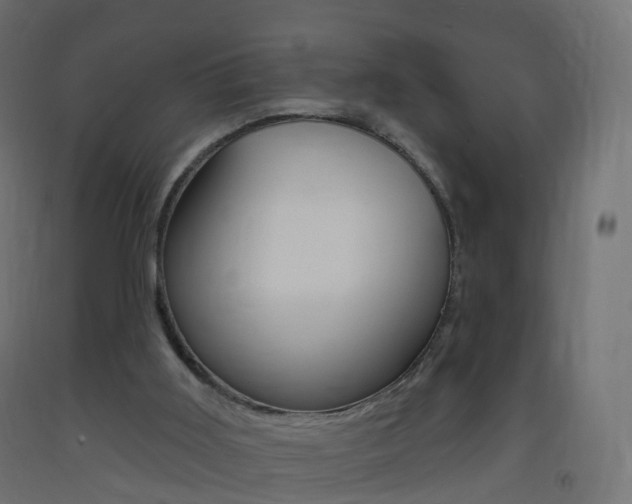 X0000093400011200710120905