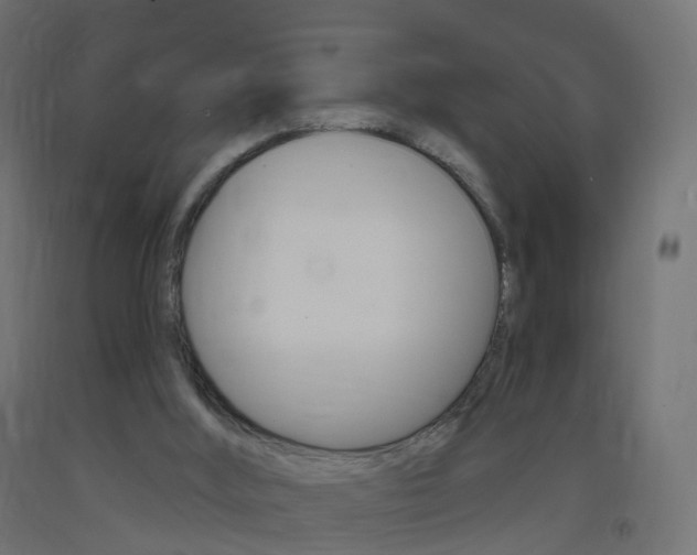 X0000093400012200710120905