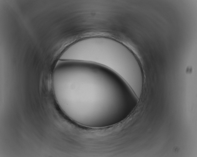 X0000093400013200710120905