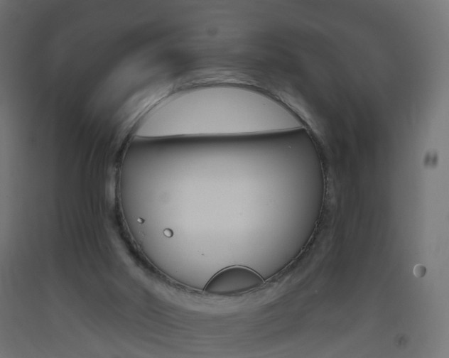 X0000093400014200710120905