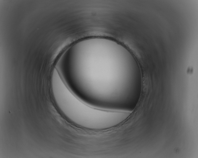 X0000093400015200710120905