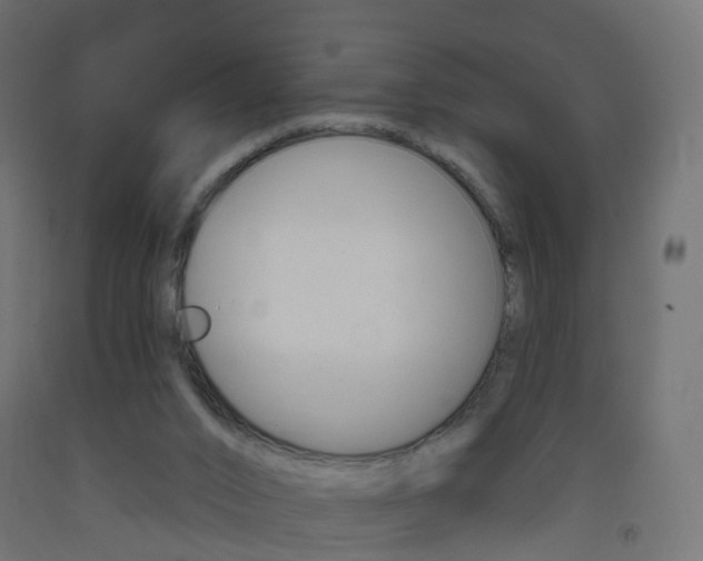 X0000093400016200710120905
