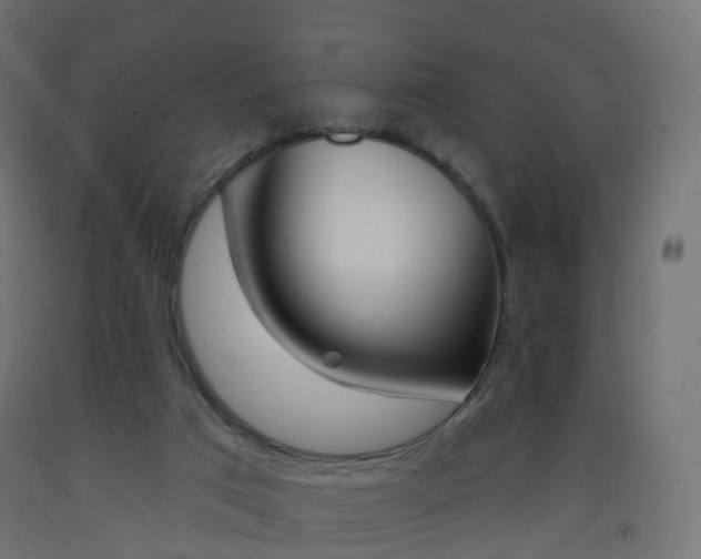 X0000093400017200710120905