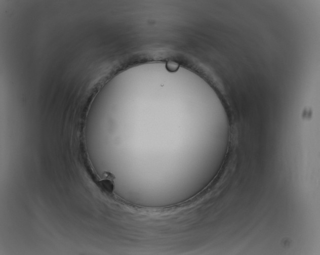 X0000093400018200710120905