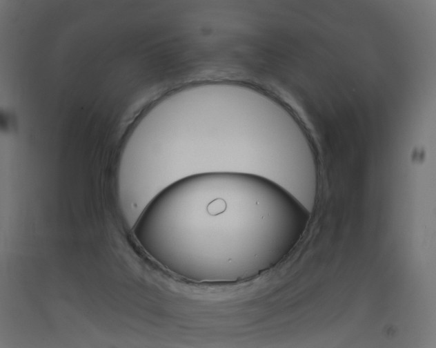 X0000093400019200710120905
