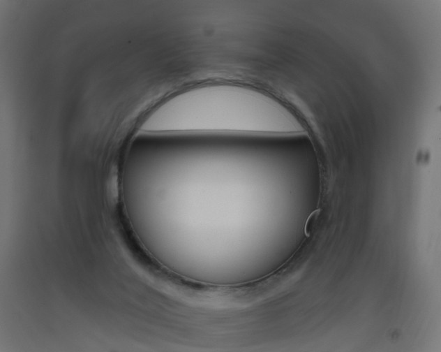 X0000093400020200710120905