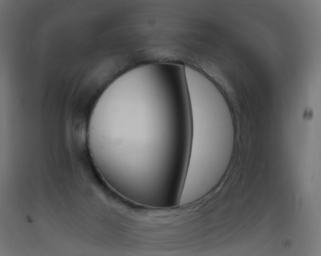 X0000093400021200710120905