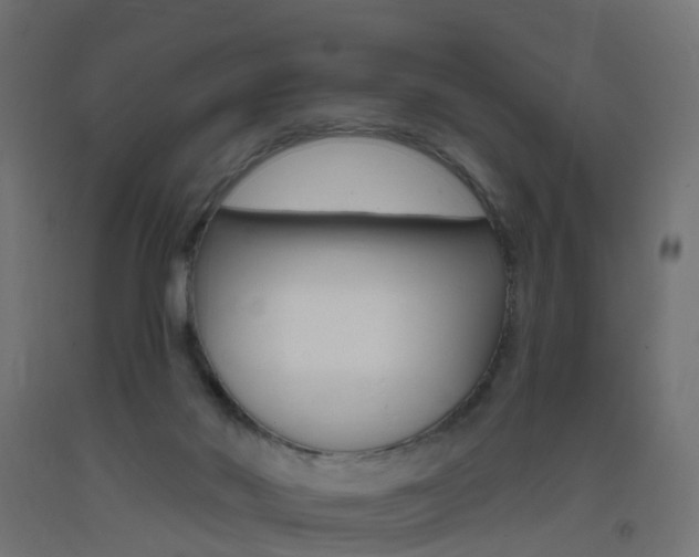 X0000093400022200710120905