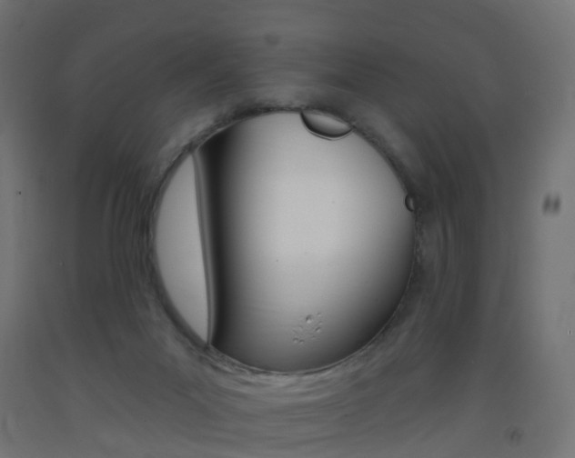 X0000093400023200710120905