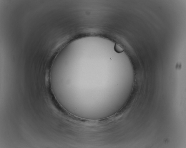 X0000093400024200710120905