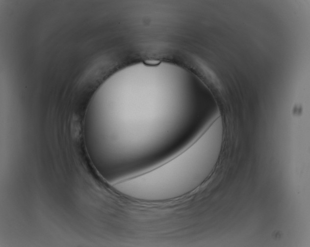 X0000093400025200710120905