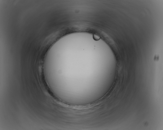 X0000093400026200710120905