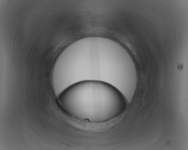 X0000093400027200710120905
