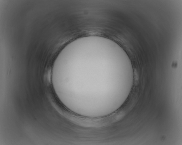 X0000093400028200710120905