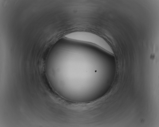 X0000093400029200710120905