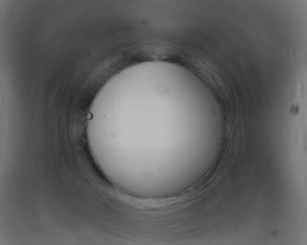 X0000093400030200710120905