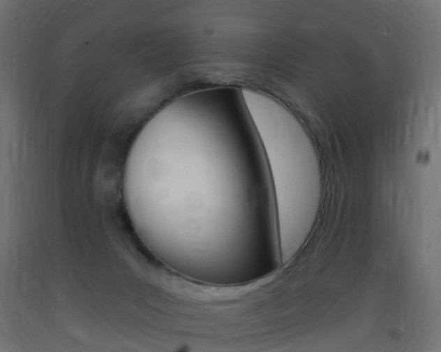 X0000093400031200710120905