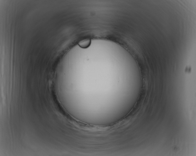 X0000093400032200710120905