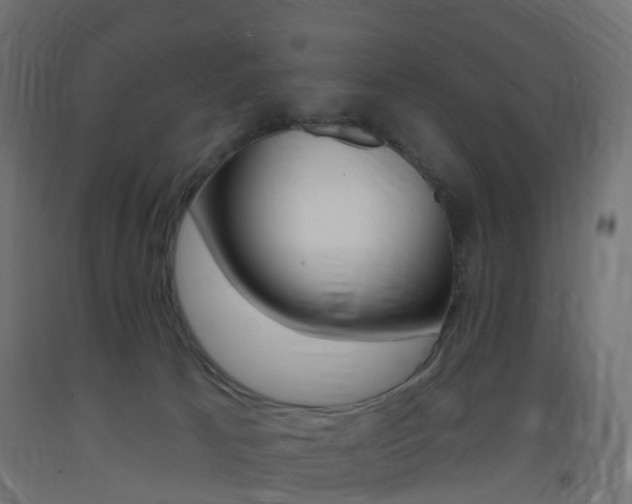 X0000093400033200710120905