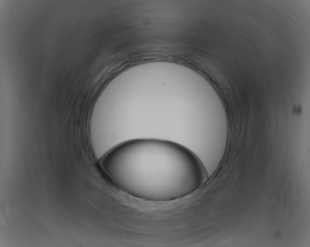 X0000093400035200710120904