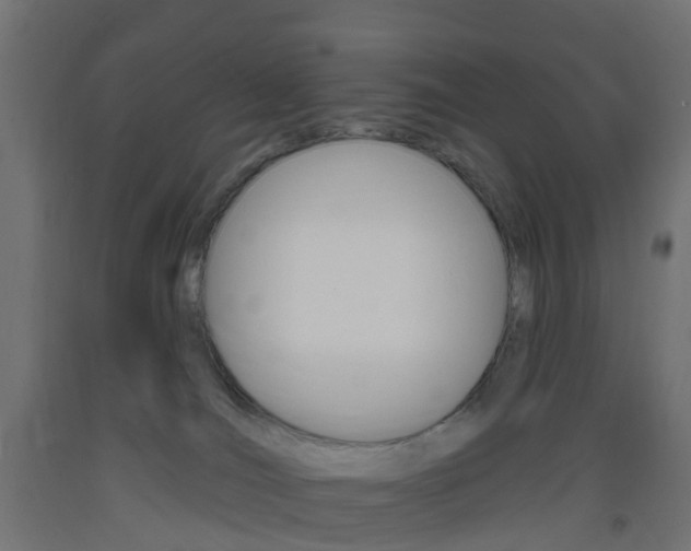 X0000093400036200710120904
