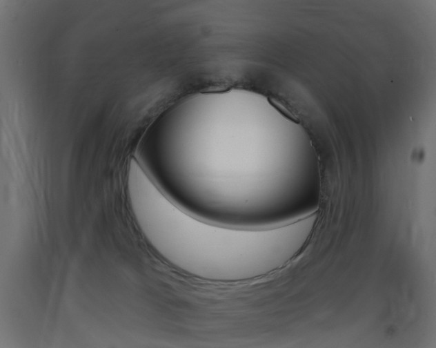 X0000093400037200710120904