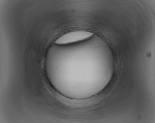 X0000093400038200710120904