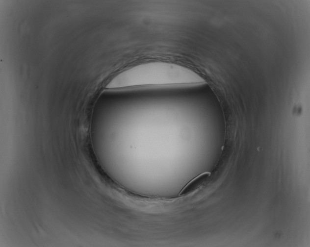 X0000093400040200710120904