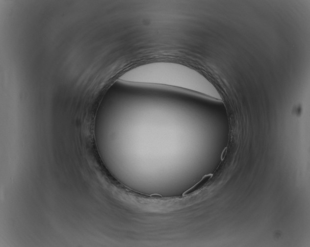 X0000093400044200710120904