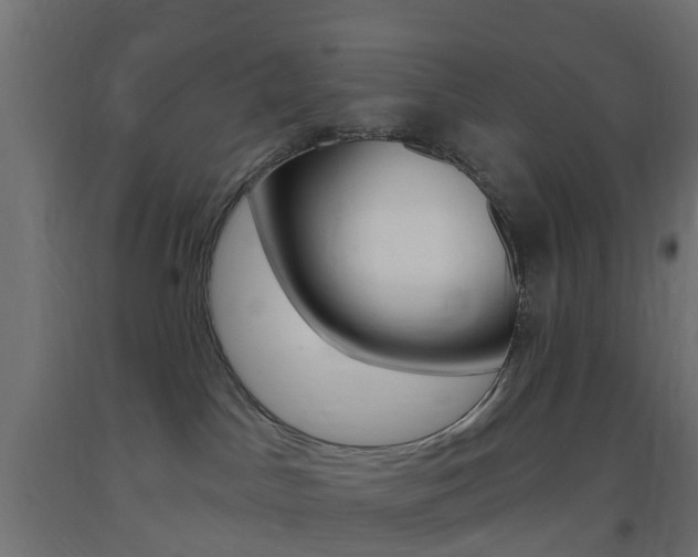 X0000093400045200710120904