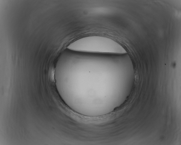 X0000093400046200710120904