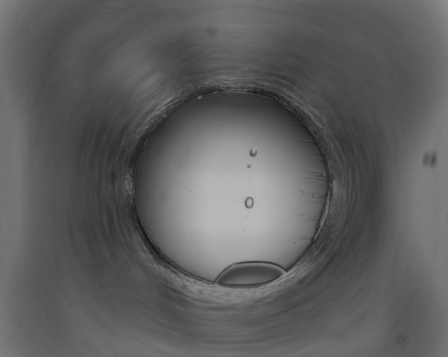 X0000093400048200710120904
