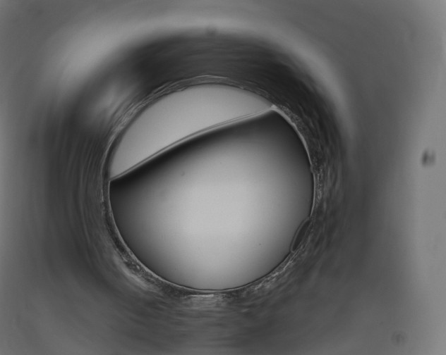 X0000093400050200710120904